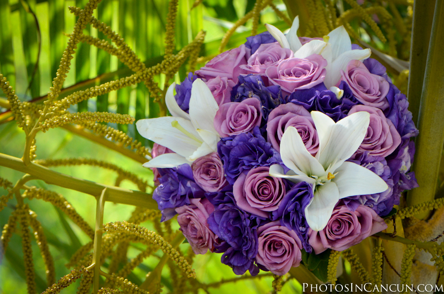 https://www.photosincancun.com/ Barcelo Maya Hotel Wedding Photos