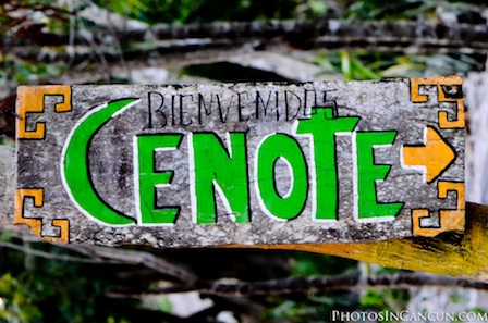 Photos In Cancun – TTD – Beach – Cenote