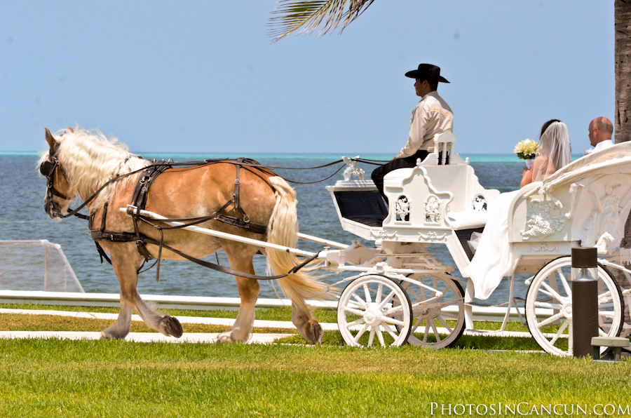 https://www.photosincancun.com/ Moon Palace Wedding Photography