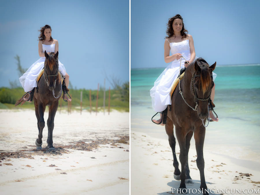 TTD with a Horse at the Beach