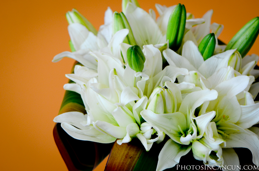 https://www.photosincancun.com/ Gran Melia Wedding Photographers - Photos In Cancun