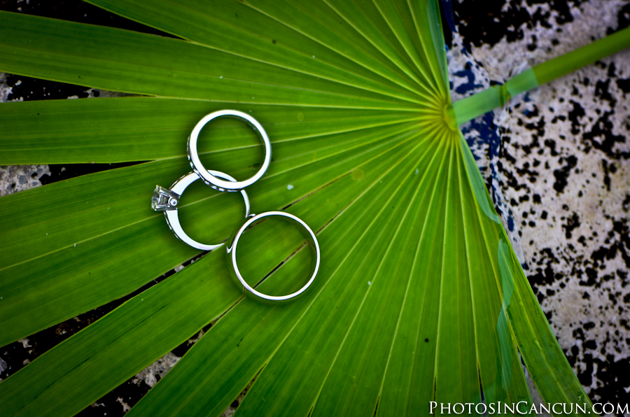 Photos In Cancun - Wedding Party - Trash The Dress - Cenote