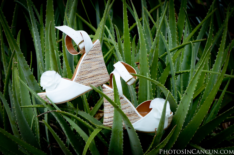https://www.photosincancun.com/ Photos In Cancun - Fotografia de Bodas Cancun, Riviera Maya