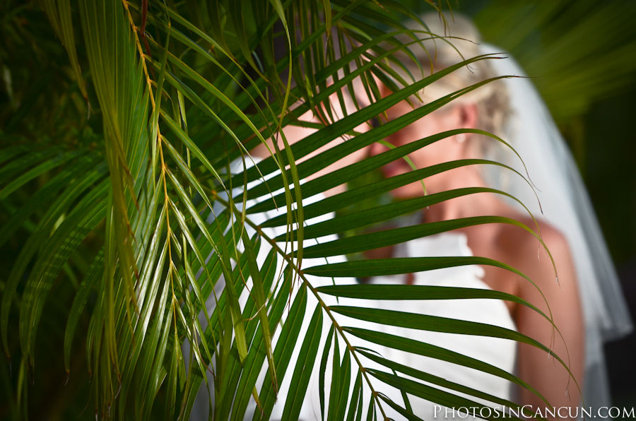 https://www.photosincancun.com/ Photos In Cancun - Mayan Riviera - Princess Hotels