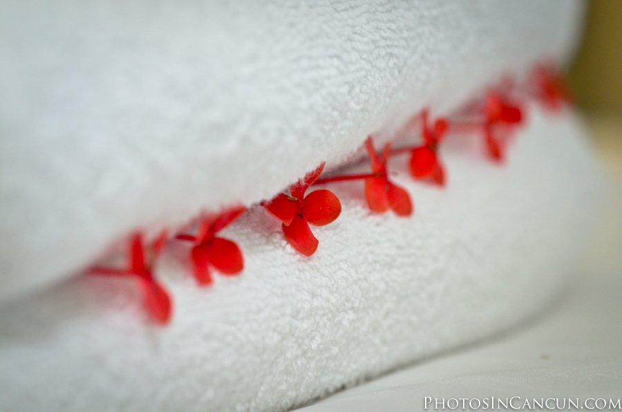 https://www.photosincancun.com/ Photos In Cancun - Mayan Riviera - Princess Hotels