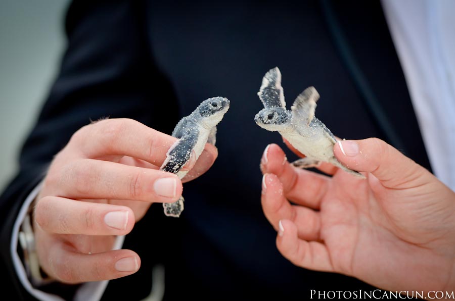 cancun wedding photographer Moon Palace Weddings - Photos In Cancun
