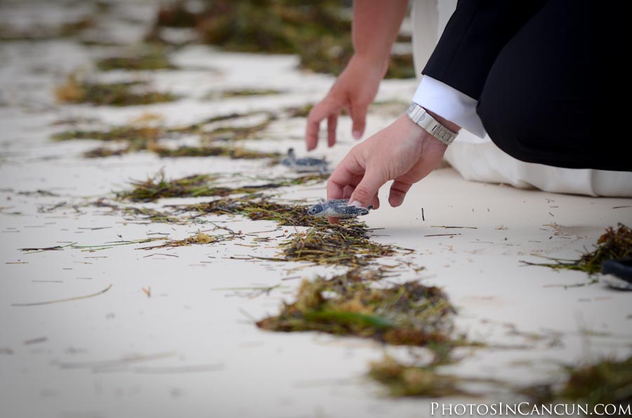 cancun wedding photographer Moon Palace Weddings - Photos In Cancun