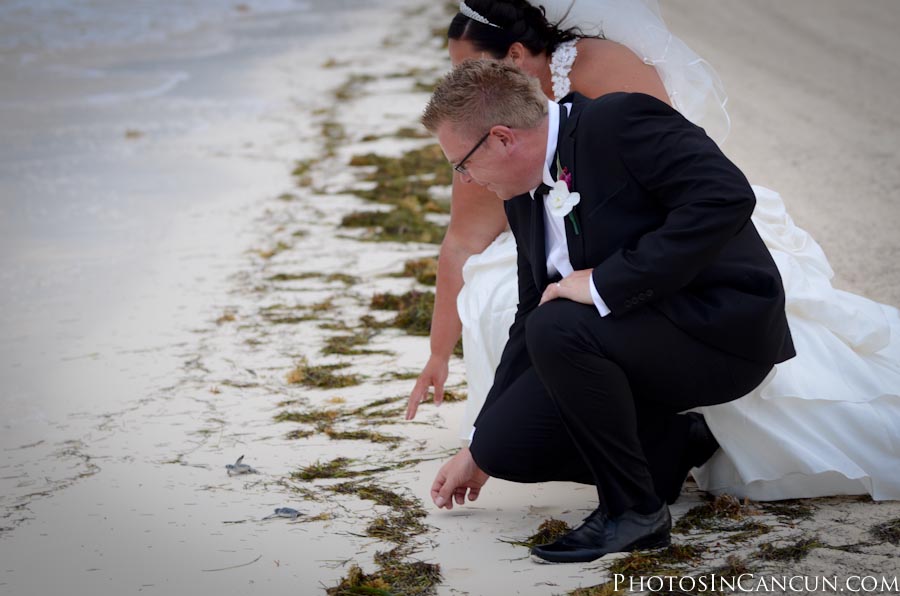 cancun wedding photographer Moon Palace Weddings - Photos In Cancun