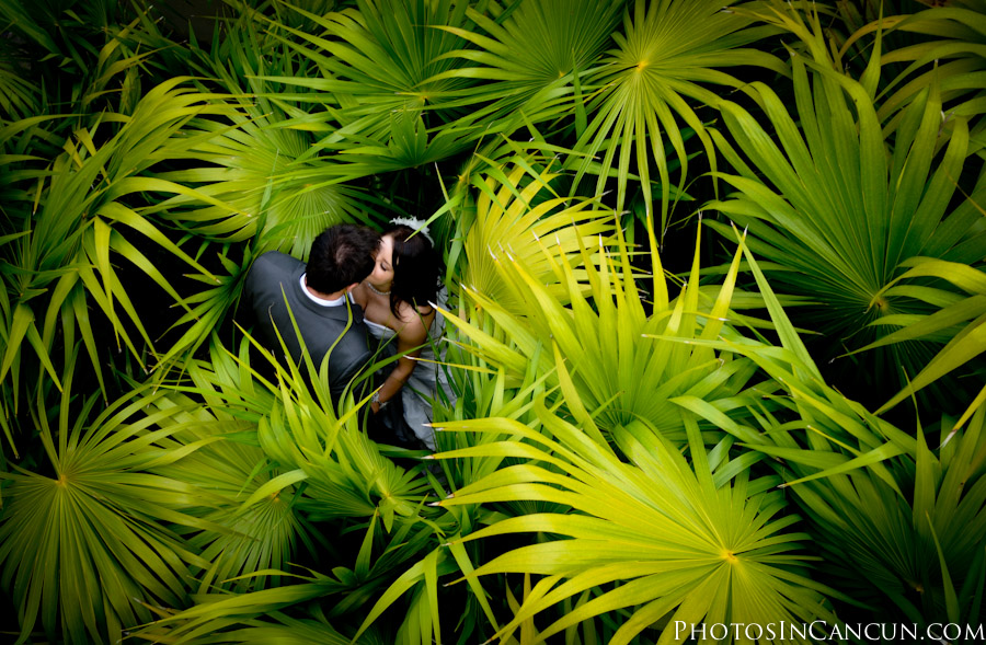 https://www.photosincancun.com/ Day After Session + TTD Cenote