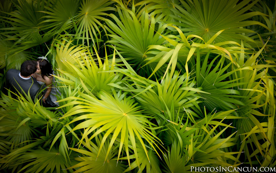 https://www.photosincancun.com/ Day After Session + TTD Cenote