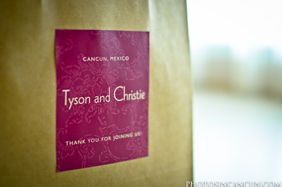 www.photosincancun.com Professional Wedding photography, Beach Palace in Cancun Mexico