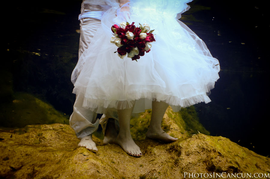 https://www.photosincancun.com/ Photos In Cancun - Cave Cenote TTD + Underwater Photography