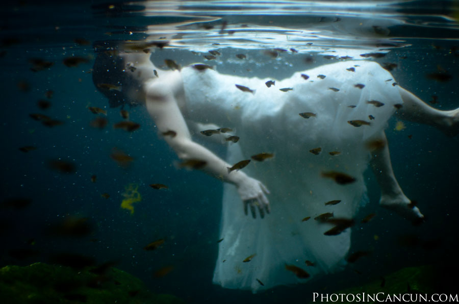 https://www.photosincancun.com/ Photos In Cancun - Cave Cenote TTD + Underwater Photography