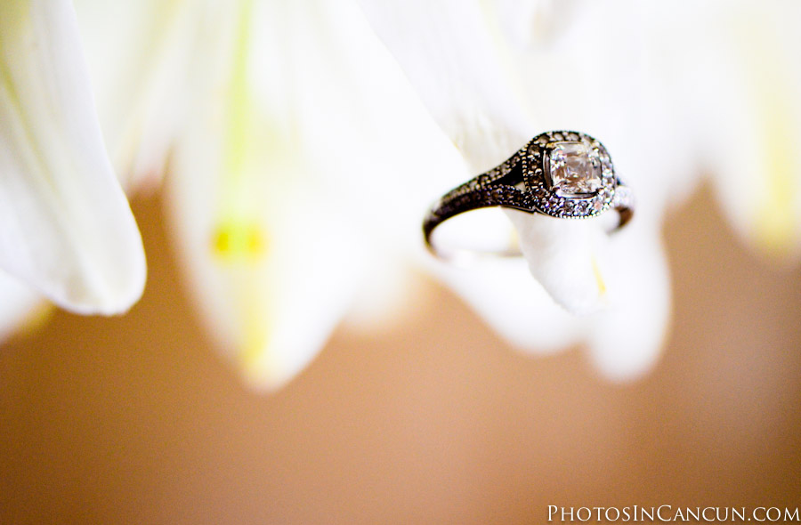 https://www.photosincancun.com/