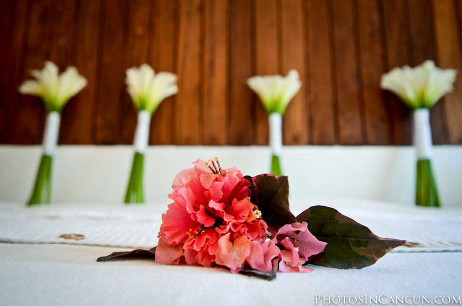 https://www.photosincancun.com/