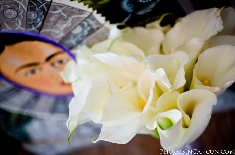 https://www.photosincancun.com/