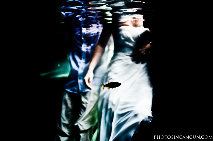 https://www.photosincancun.com/