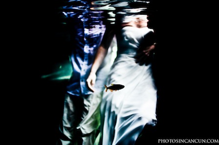 Cenote Trash The Dress Sessions in the Riviera Maya and Cancun