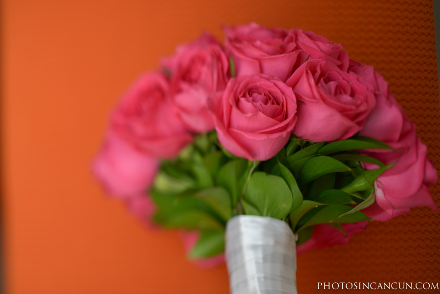 ©www.photosincancun.com
