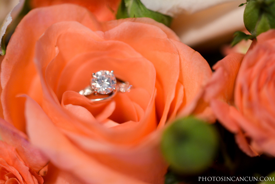 ©www.photosincancun.com