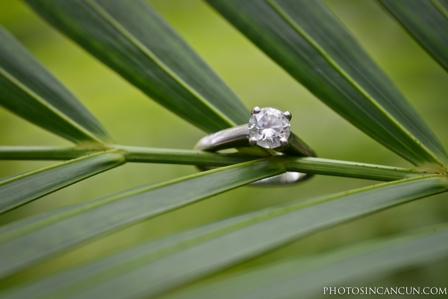 https://www.photosincancun.com/