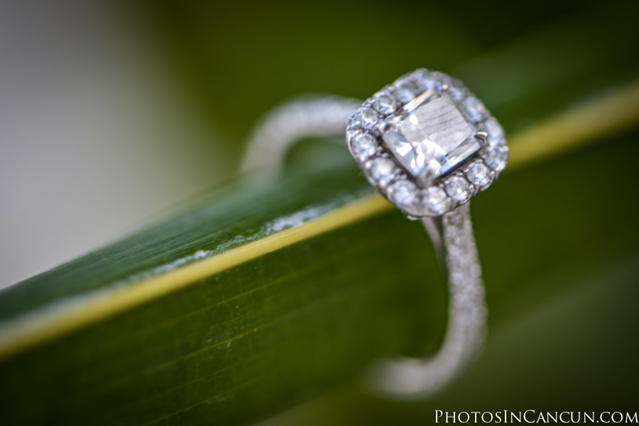 https://www.photosincancun.com/