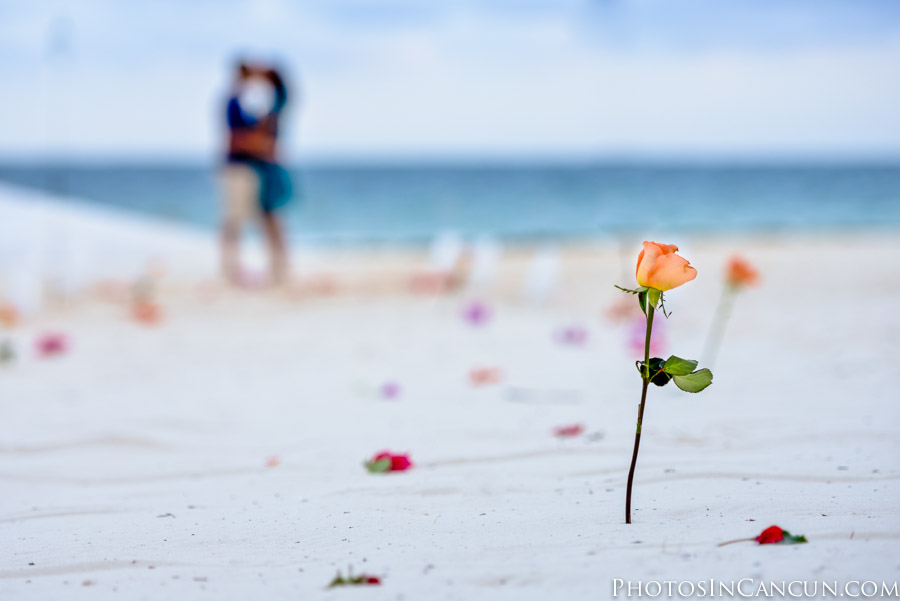 https://www.photosincancun.com/