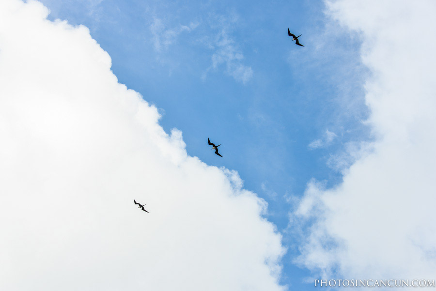 https://www.photosincancun.com/
