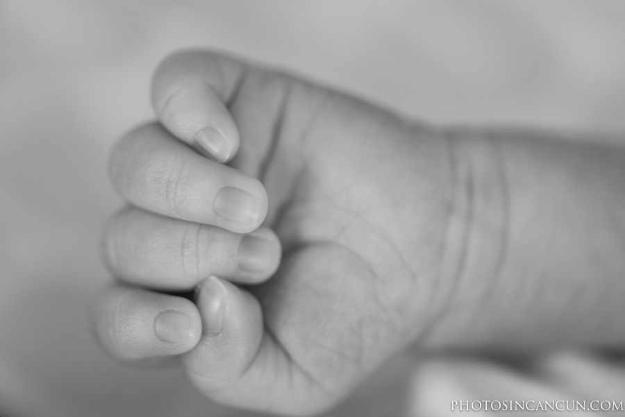 ©www.photosincancun.com