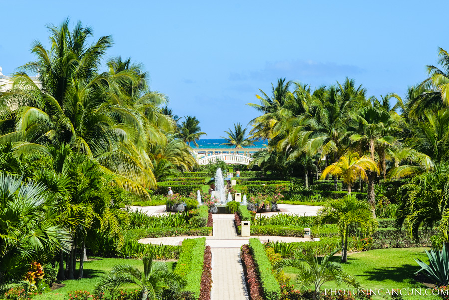 Dreams Tulum Wedding Photographer in Mexico